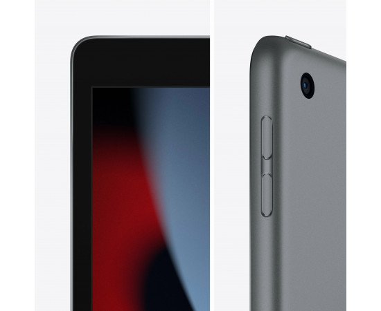 заказать  Планшет Apple iPad 2021, 256 ГБ,Wi-Fi+Cellular, серый космос, 10,2