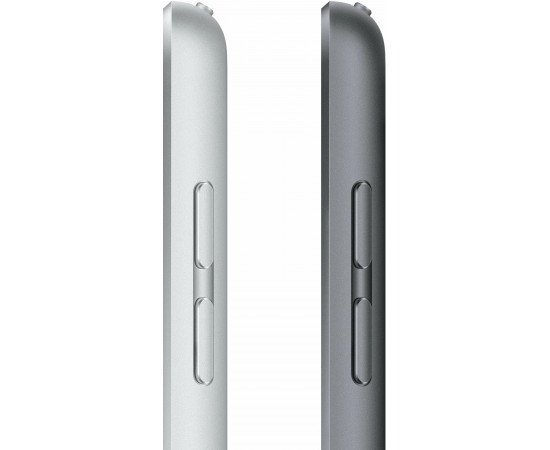 заказать  Планшет Apple iPad 2021, 256 ГБ,Wi-Fi+Cellular, серый космос, 10,2