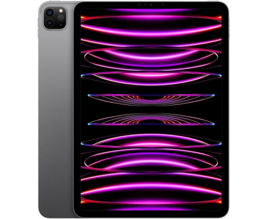 заказать  Apple iPad Pro 11 (2022), 2 ТБ, Wi-Fi + Cellular, Серый космос