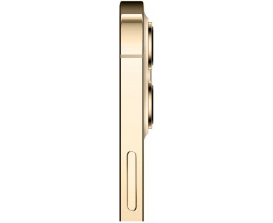 приобрести  Apple iPhone 12 Pro 128GB Gold приобрести  Apple iPhone 12 Pro 128GB Gold
