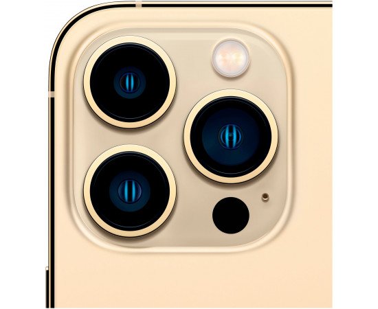 заказать  Apple iPhone 13 Pro Max 256GB Gold купить  Apple iPhone 13 Pro Max 256GB Gold