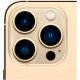 заказать  Apple iPhone 13 Pro Max 256GB Gold купить  Apple iPhone 13 Pro Max 256GB Gold