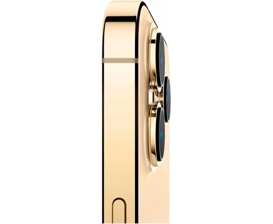 заказать  Apple iPhone 13 Pro Max 256GB Gold купить  Apple iPhone 13 Pro Max 256GB Gold