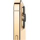 заказать  Apple iPhone 13 Pro Max 256GB Gold купить  Apple iPhone 13 Pro Max 256GB Gold