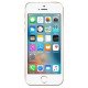 заказать  Apple iPhone SE 16 ГБ Золотой заказать  Apple iPhone SE 16 ГБ Золотой
