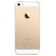 заказать  Apple iPhone SE 16 ГБ Золотой заказать  Apple iPhone SE 16 ГБ Золотой